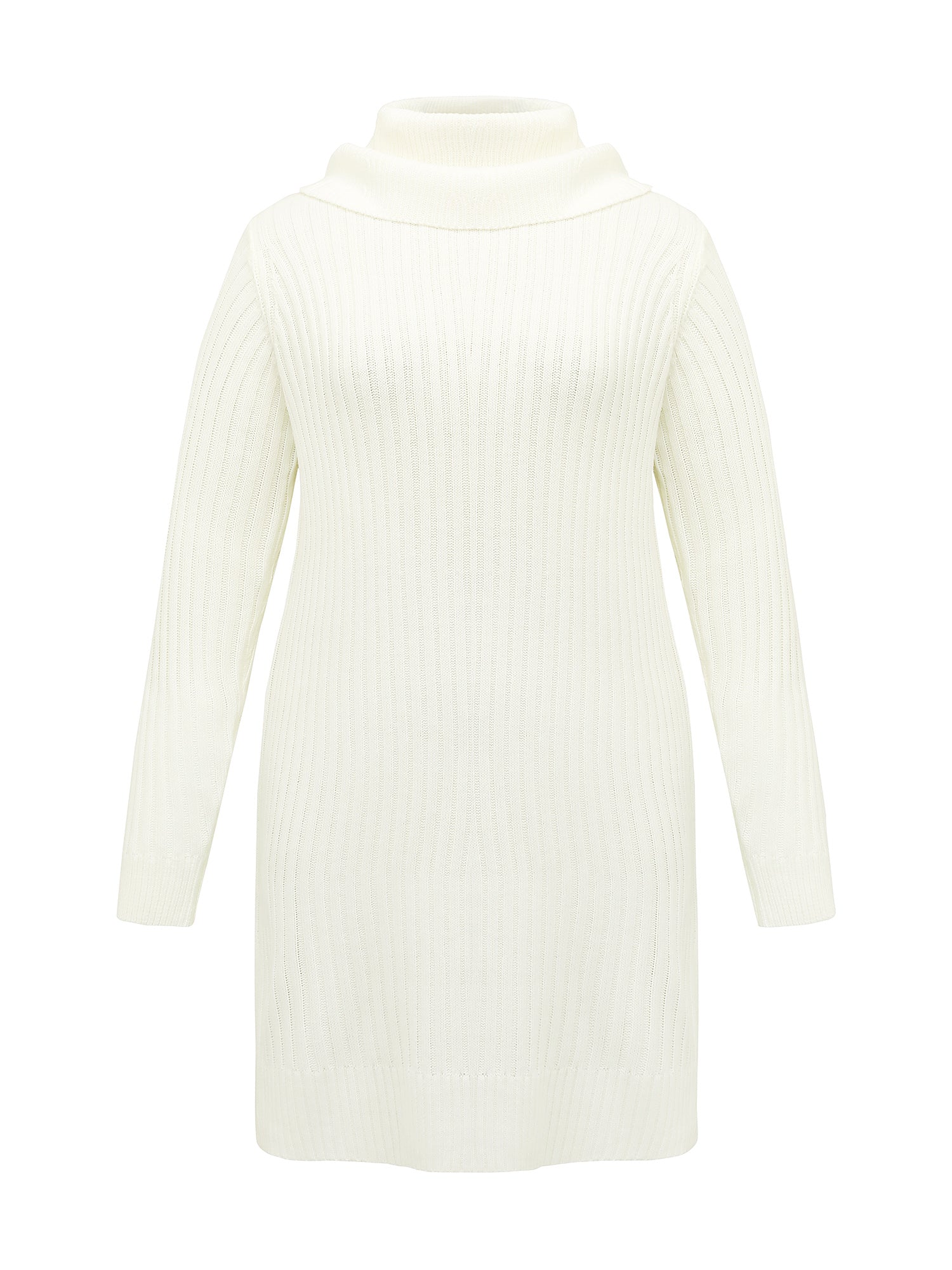High Turtleneck Textured Sweater Dress