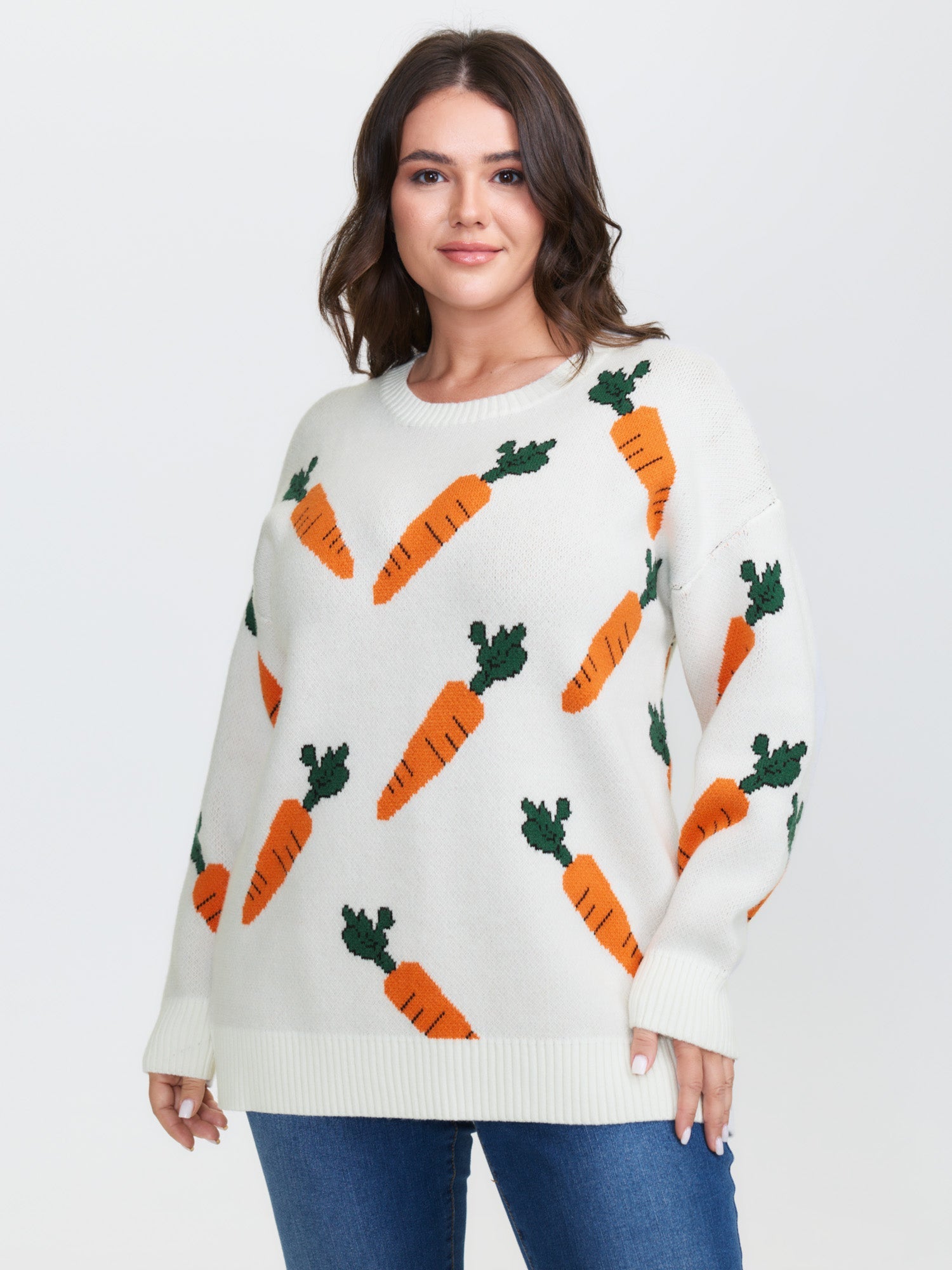 Carrot Pattern Round Neck Ribbed Pullover