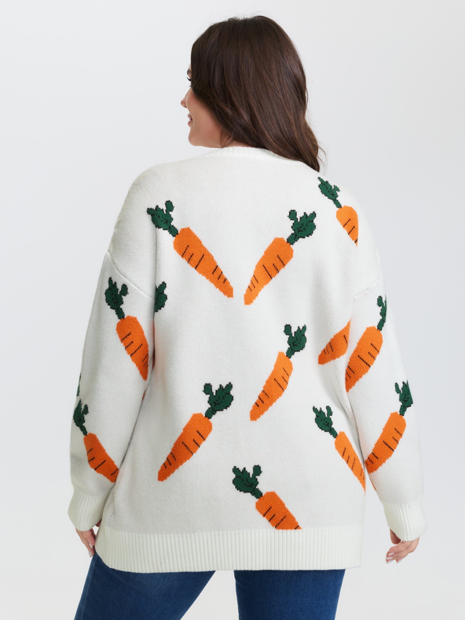 Carrot Pattern Round Neck Ribbed Pullover