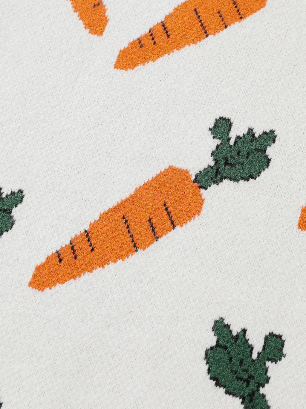 Carrot Pattern Round Neck Ribbed Pullover
