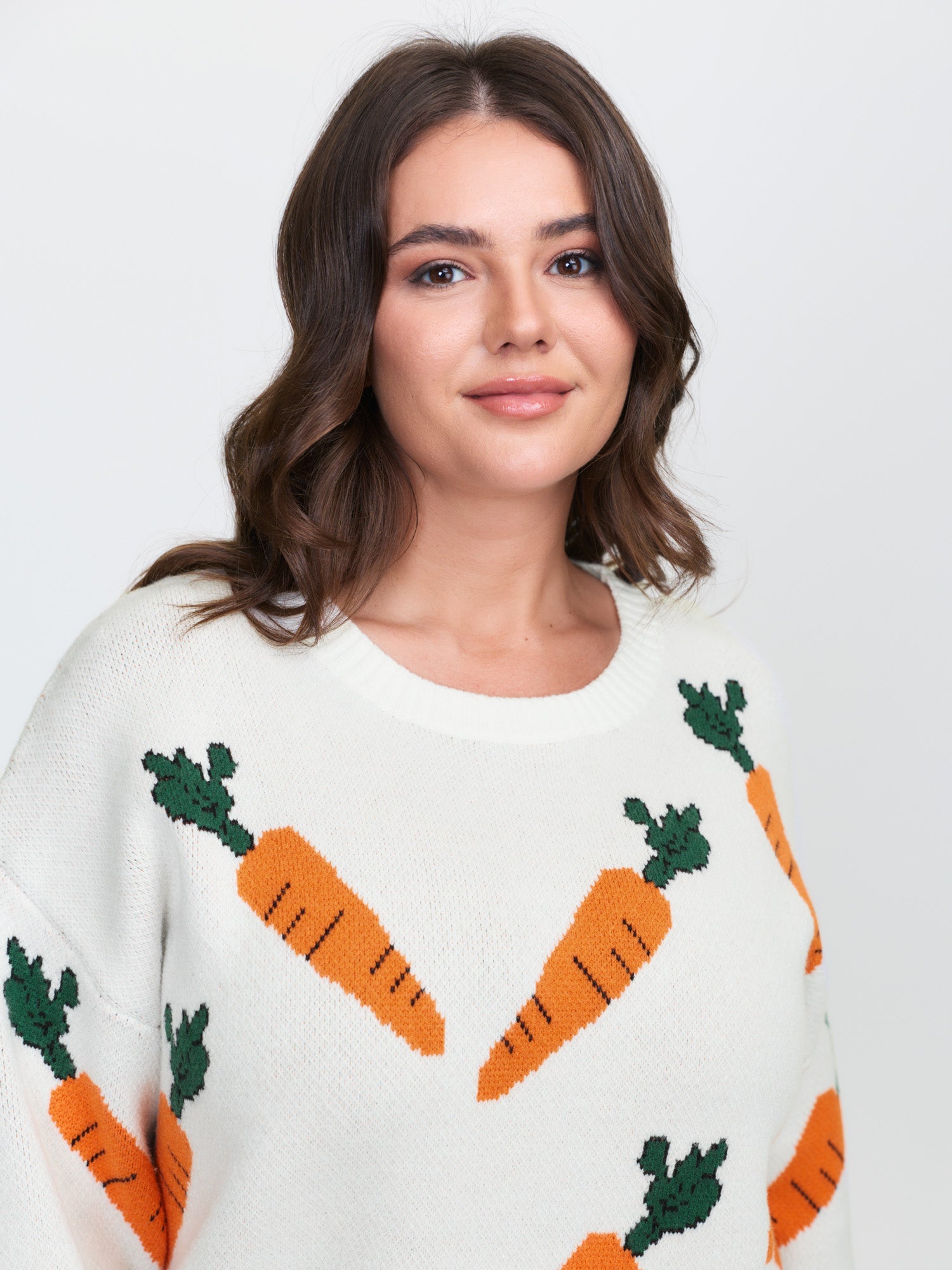 Carrot Pattern Round Neck Ribbed Pullover